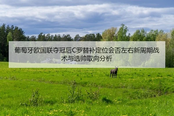 葡萄牙欧国联夺冠后C罗替补定位会否左右新周期战术与选帅取向分析